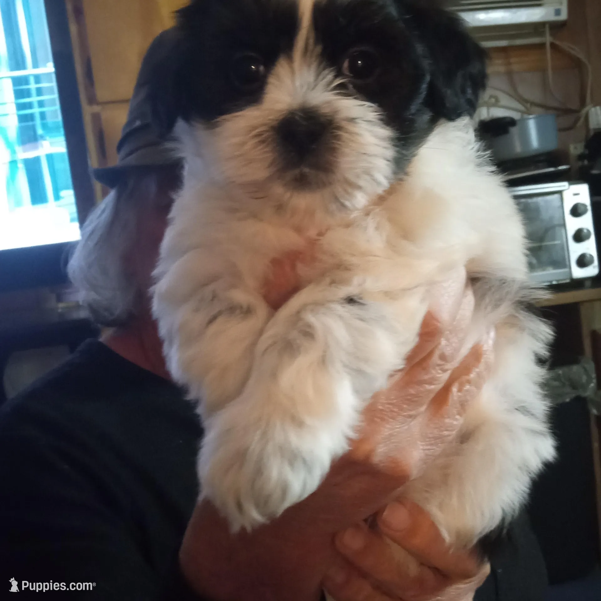 processed/74b68a0f-5313-4c2b-b452-2489a22a76e8/listing/7c7dbcea-b48a-45da-b6fc-01fe91b5646a/bf68dec5-4c41-4c50-a732-c1d318d8a7cc