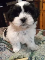 processed/74b68a0f-5313-4c2b-b452-2489a22a76e8/listing/7c7dbcea-b48a-45da-b6fc-01fe91b5646a/c6aad376-c348-4329-b739-33554f192187