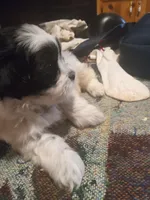 processed/74b68a0f-5313-4c2b-b452-2489a22a76e8/listing/7c7dbcea-b48a-45da-b6fc-01fe91b5646a/de1d4b76-adc4-4924-8625-e691597c3b3d