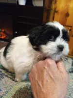 processed/74b68a0f-5313-4c2b-b452-2489a22a76e8/listing/7c7dbcea-b48a-45da-b6fc-01fe91b5646a/ea310a48-ed4a-46d6-807e-2c73a3b93023