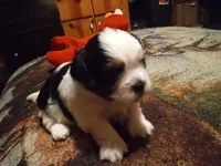 processed/74b68a0f-5313-4c2b-b452-2489a22a76e8/listing/e4943fd5-edb1-40be-aa2f-d04f2660a1b8/61e62d35-70f1-4353-9b0b-535febeab471