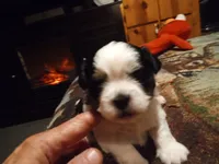 processed/74b68a0f-5313-4c2b-b452-2489a22a76e8/listing/e4943fd5-edb1-40be-aa2f-d04f2660a1b8/fc4b6560-92aa-4cac-b94d-7f641c4cdf56