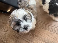 processed/74bf1050-c702-4415-9c7c-d9e2cc32c4be/listing/c274cd3a-9fd0-4030-b54c-7c769df47d7c/13df6f27-151e-49a2-b4ab-5698c124ddee