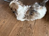 processed/74bf1050-c702-4415-9c7c-d9e2cc32c4be/listing/c274cd3a-9fd0-4030-b54c-7c769df47d7c/3c246d00-5471-4d87-a941-eeb2a262975f