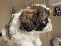 processed/74bf1050-c702-4415-9c7c-d9e2cc32c4be/listing/c274cd3a-9fd0-4030-b54c-7c769df47d7c/90e296c0-8a6d-4665-b41c-cb3056dd5e12