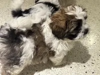 processed/74bf1050-c702-4415-9c7c-d9e2cc32c4be/listing/c274cd3a-9fd0-4030-b54c-7c769df47d7c/9cf0dc21-4dfb-4895-a6c0-ef803bbc523a