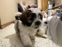 processed/74bf1050-c702-4415-9c7c-d9e2cc32c4be/listing/c274cd3a-9fd0-4030-b54c-7c769df47d7c/b7806404-1553-488c-9db2-53737cd9b8d4