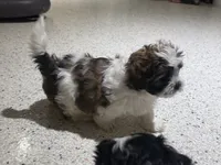 processed/74bf1050-c702-4415-9c7c-d9e2cc32c4be/listing/c274cd3a-9fd0-4030-b54c-7c769df47d7c/ea3a1386-af0b-4383-aeaf-4d4dc51e9f34