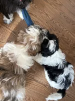 processed/74bf1050-c702-4415-9c7c-d9e2cc32c4be/listing/cf9cf026-9a70-4efa-8e1f-678b14b34ec7/0d36241f-9b02-481d-bf20-ea95393195ba