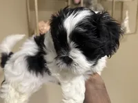 processed/74bf1050-c702-4415-9c7c-d9e2cc32c4be/listing/cf9cf026-9a70-4efa-8e1f-678b14b34ec7/6236d0df-5f6e-477b-81ab-d0da3965f42d