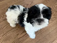 processed/74bf1050-c702-4415-9c7c-d9e2cc32c4be/listing/cf9cf026-9a70-4efa-8e1f-678b14b34ec7/be0c4d2a-e6d5-4b54-825b-ec34e5b484ea