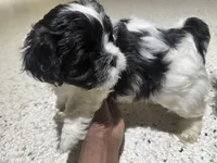 processed/74bf1050-c702-4415-9c7c-d9e2cc32c4be/listing/cf9cf026-9a70-4efa-8e1f-678b14b34ec7/bfae92d3-65a5-41aa-a9b3-81b1ed277b98