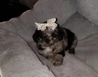 processed/74c64aeb-31d6-4f8b-8767-7ba504a0de25/listing/70ea77a7-c05f-40ac-9666-8dea09e8088e/cf70277c-160f-4065-b061-1486f73ff600