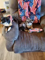 processed/74c64aeb-31d6-4f8b-8767-7ba504a0de25/listing/f8aead79-0382-44fd-9c99-a2c1f98c8216/80082053-0cf2-4204-b140-699b15cfb576