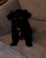 processed/74c64aeb-31d6-4f8b-8767-7ba504a0de25/listing/f8aead79-0382-44fd-9c99-a2c1f98c8216/c5b080c8-bc56-4523-a213-78b82fd398cf