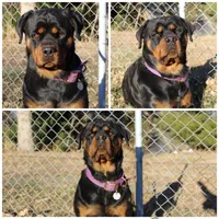 processed/74cabd34-bb95-4456-b9b0-e19acc8652a9/facility/5cd737d3-425b-4804-94b8-7e152cc31a87