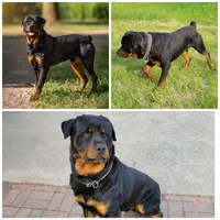 processed/74cabd34-bb95-4456-b9b0-e19acc8652a9/facility/87892f5c-03fe-4dd2-b3a4-7fbb5c3a1711