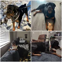 processed/74cabd34-bb95-4456-b9b0-e19acc8652a9/facility/d51c9d75-b56e-441c-8ed1-14c00c5dbeb7