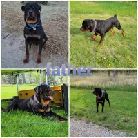 processed/74cabd34-bb95-4456-b9b0-e19acc8652a9/listing/3770ae3d-cc55-4bee-b7cd-eed2143e133e/1e175499-1ef1-42a5-9631-c5035f802743