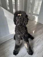 processed/74ceecb5-de59-46ac-9bc2-834169ee86ca/listing/e6eb1f41-f25f-4a08-a84c-527bd4f14cb8/474e9493-4180-41dc-a413-935d6b3df89e