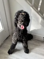 processed/74ceecb5-de59-46ac-9bc2-834169ee86ca/listing/e6eb1f41-f25f-4a08-a84c-527bd4f14cb8/7c03207b-9a8f-4075-9d3a-c5a033f2d3c1