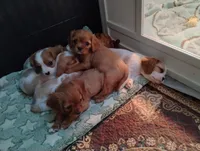 processed/74d5af46-b316-4e65-8b02-6b70860e5f3e/facility/91a989d8-e099-403e-8f23-dac9a70ec83d