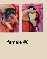 processed/74d5af46-b316-4e65-8b02-6b70860e5f3e/listing/249de428-ca5a-4f80-87b6-9d72e85c7e0c/59828c9e-1bae-4845-9443-de0309f70614