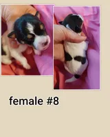 processed/74d5af46-b316-4e65-8b02-6b70860e5f3e/listing/76af2f45-efcd-4ac3-b625-ae80b28668b3/8d23a1ad-1c92-4d9d-ae78-cd17d68b7fde