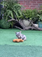 processed/74e0b97f-4dac-4b7a-b21c-b2074d3ae95a/listing/18e04017-1ce8-46df-8b6c-4e55ed28b075/6c72cb75-b274-4b17-a2df-bb309c343c44