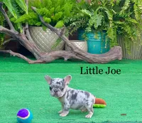 processed/74e0b97f-4dac-4b7a-b21c-b2074d3ae95a/listing/18e04017-1ce8-46df-8b6c-4e55ed28b075/7fe2327d-525c-47d6-bab8-26d50cd4df41