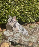 processed/74e0b97f-4dac-4b7a-b21c-b2074d3ae95a/listing/18e04017-1ce8-46df-8b6c-4e55ed28b075/9bba2194-aa7f-4205-8f4c-fcf35cf55436