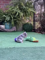 processed/74e0b97f-4dac-4b7a-b21c-b2074d3ae95a/listing/18e04017-1ce8-46df-8b6c-4e55ed28b075/a58e85d3-dddd-4ba4-a574-ab2504e63bf3