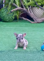 processed/74e0b97f-4dac-4b7a-b21c-b2074d3ae95a/listing/18e04017-1ce8-46df-8b6c-4e55ed28b075/c95e0e46-2030-4ba5-aa19-0514b304e291