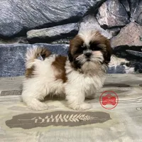 processed/750951df-b725-4147-9b47-39dda7e9c748/facility/0a0d1e37-2e17-4760-a31f-75836f722352