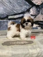 processed/750951df-b725-4147-9b47-39dda7e9c748/facility/0a0d1e37-2e17-4760-a31f-75836f722352