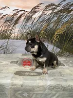 processed/750951df-b725-4147-9b47-39dda7e9c748/facility/7d0c63a6-bc09-4ece-b431-47a38174c909