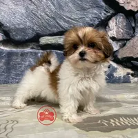 processed/750951df-b725-4147-9b47-39dda7e9c748/facility/824691bf-8fa9-4e16-b4f0-534664e5a8db