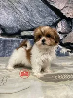 processed/750951df-b725-4147-9b47-39dda7e9c748/facility/824691bf-8fa9-4e16-b4f0-534664e5a8db