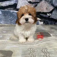 processed/750951df-b725-4147-9b47-39dda7e9c748/facility/dba50a94-e057-4e62-8f81-4ff47f711275