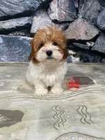 processed/750951df-b725-4147-9b47-39dda7e9c748/facility/dba50a94-e057-4e62-8f81-4ff47f711275