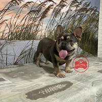 processed/750951df-b725-4147-9b47-39dda7e9c748/facility/f5f5311a-e9b0-4438-8d2e-14937a7f3a6f