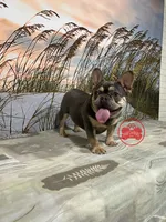 processed/750951df-b725-4147-9b47-39dda7e9c748/facility/f5f5311a-e9b0-4438-8d2e-14937a7f3a6f