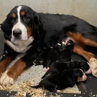 processed/75156edc-d92f-4c2d-bd7f-18c8e70c0b74/facility/ebb27add-5338-493f-a678-97c159fa89a6