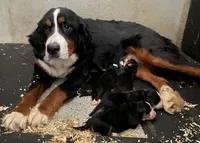 processed/75156edc-d92f-4c2d-bd7f-18c8e70c0b74/facility/ebb27add-5338-493f-a678-97c159fa89a6