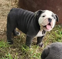 processed/75169af1-0d2d-4978-8a62-f237cbcac6d1/facility/3c149266-1ab6-4560-a920-3051aaba274a