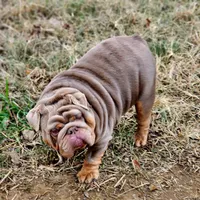 processed/75169af1-0d2d-4978-8a62-f237cbcac6d1/facility/4bb592c0-eb7e-40ba-a644-41009e69fc88