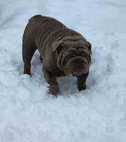 processed/75169af1-0d2d-4978-8a62-f237cbcac6d1/facility/57db5d1b-bf8f-417c-af6c-002b8049bc25