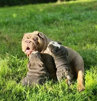 processed/75169af1-0d2d-4978-8a62-f237cbcac6d1/facility/8d4a68b5-e40c-4c5a-a8ea-ca6f3f1daab8