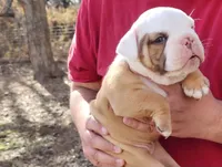 processed/75169af1-0d2d-4978-8a62-f237cbcac6d1/facility/99e36064-6b3a-462c-8768-9baf43966476