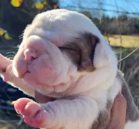 processed/75169af1-0d2d-4978-8a62-f237cbcac6d1/facility/b5166a47-6d6d-4fe8-9158-2a8840db559d